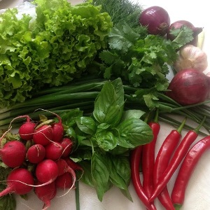 осенний салат, овощи