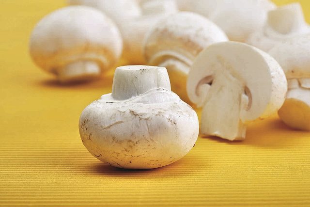 Шампиньоны