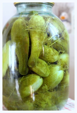маринованные огурцы