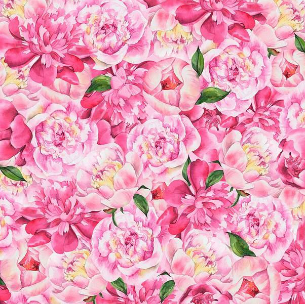 A beautiful puzzle for the most attentive: find a butterfly in the peonies