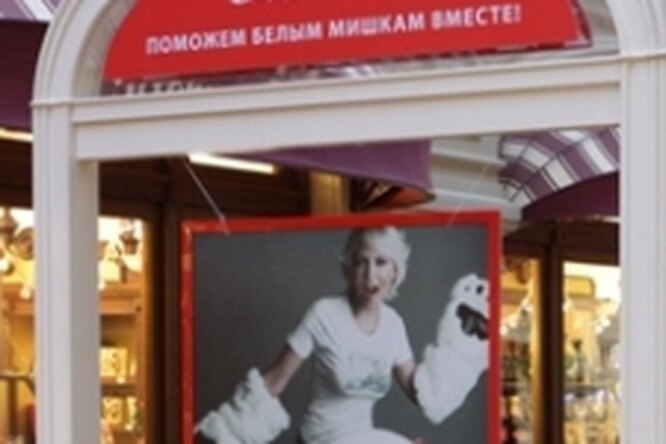 Звезды помогли белым медведям Звезды помогли белым медведям