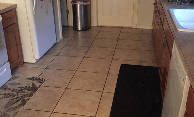 Do you see the dog in the photo?