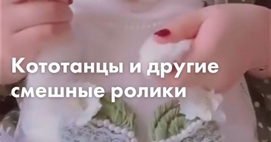 Kototans, “Doves behind glass” show and other funny videos