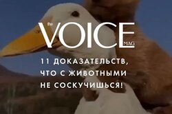 11 доказательств, что с животными не соскучишься!