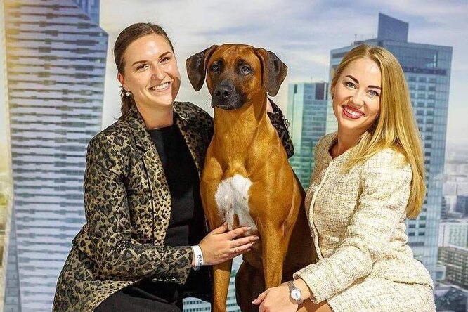 Лучшая собака России представит нашу страну на шоу чемпионов в Великобритании