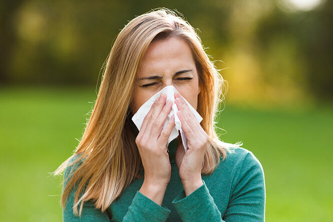 Цветет, пахнет и раздражает: как бороться с весенней аллергией