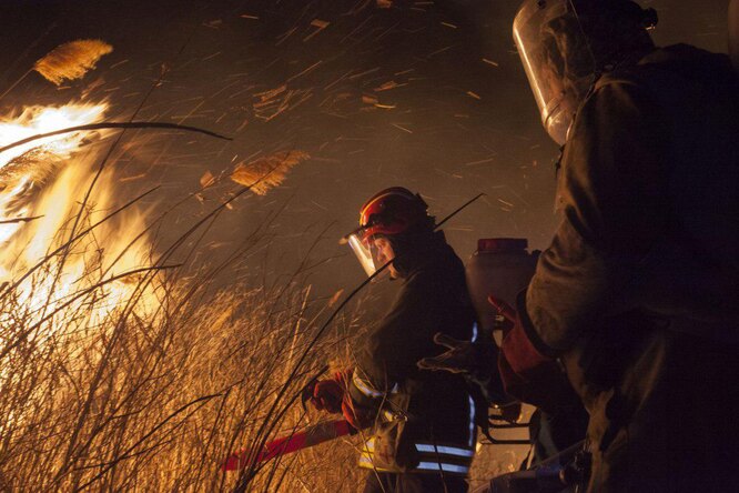 Гринпис открывает интерактивную фотовыставку о лесных пожарах