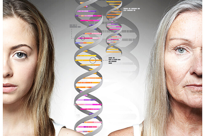 Плохие и хорошие гены: кто в ответе за идеальный нос и стройную фигуру