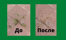 Уничтожить все сорняки с садовой дорожки за ночь: так просто, что кажется магией