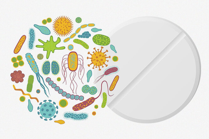 Война бактерий: стоит ли принимать пробиотики, если пьешь антибиотики?
