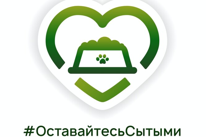 #ОставайтесьСытыми: как помочь животным, которым не хватает корма на карантине #ОставайтесьСытыми: как помочь животным, которым не хватает корма на карантине
