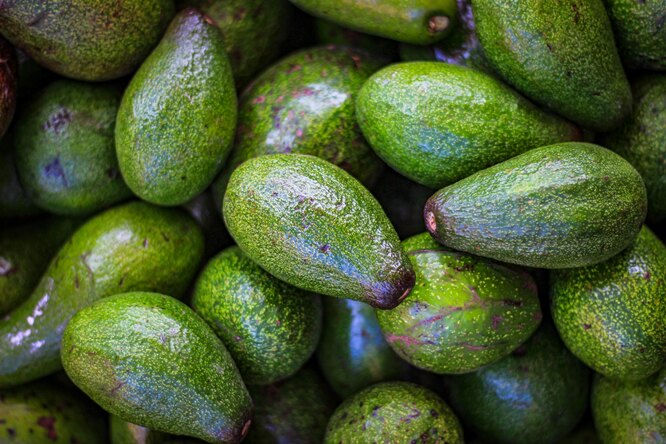 Эти простые лайфхаки научат тебя выбрать идеальный авокадо и хранить его 12 дней