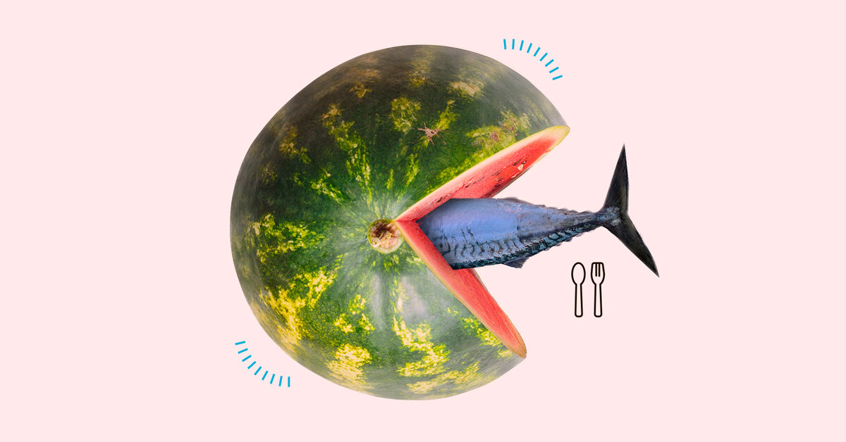 Watermelon tuna: an unusual recipe for thrifty people – it tastes like real fish!