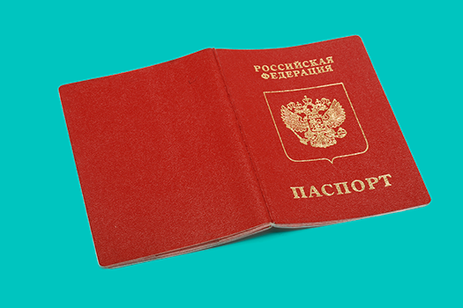 Замена документов после замужества Замена документов после замужества