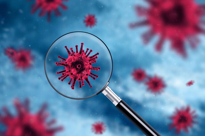 Пандемия продолжается: 6 вопросов о коронавирусе, ответы на которые неизвестны