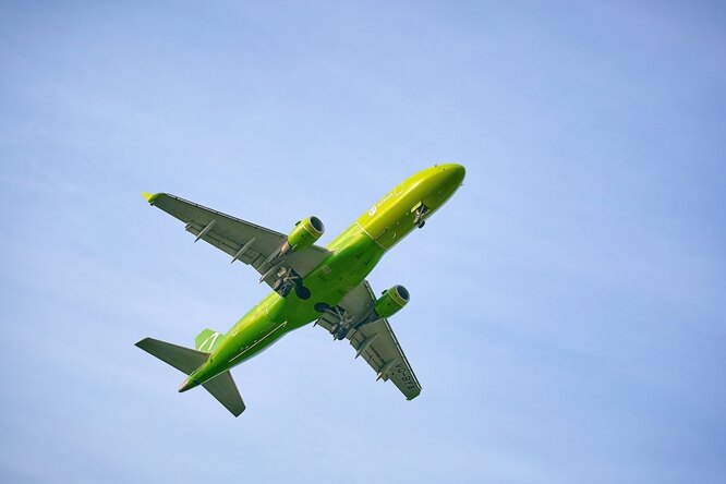 Как прекрасен этот мир: поддержи заповедники вместе с S7 Airlines Как прекрасен этот мир: поддержи заповедники вместе с S7 Airlines