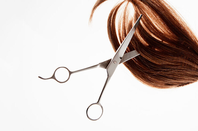 Hot scissors, thinning or cooking?  5 great technologies for cutting hair